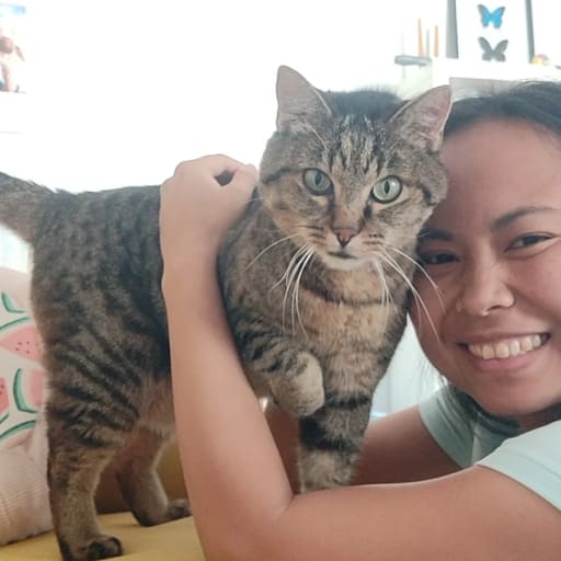 Profile image for pet sitter Jade-Ann