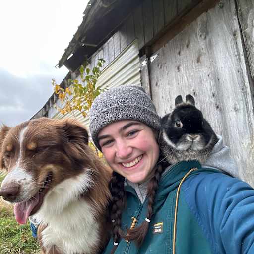 Profile image for pet sitter Kaitlyn