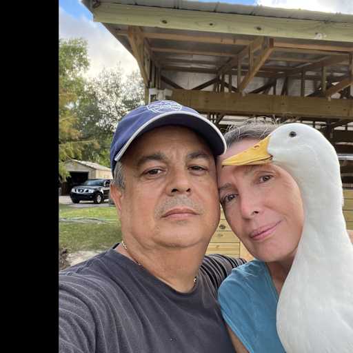 Profile image for pet sitters Giane & Celso