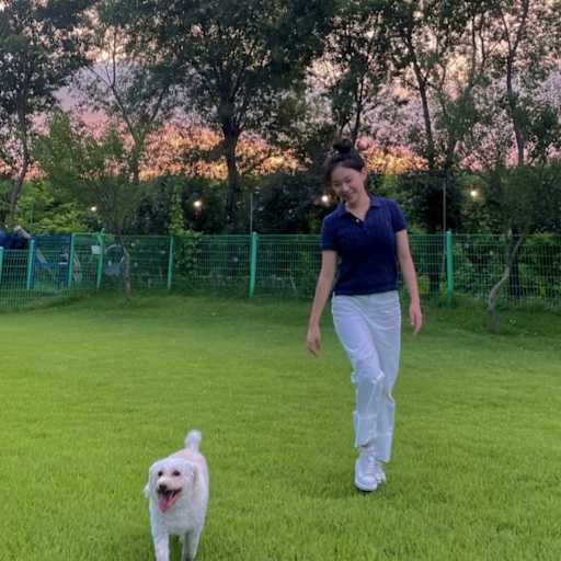 Profile image for pet sitters 민지 & Taegue