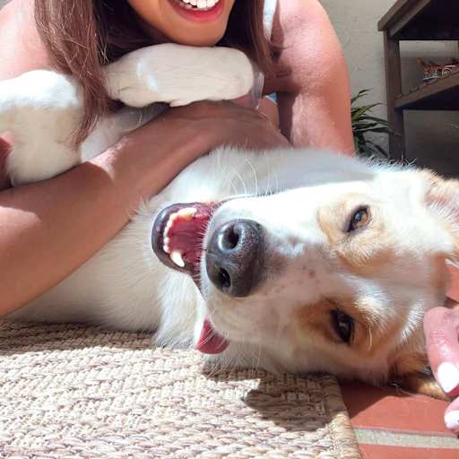 Profile image for pet sitter Duha