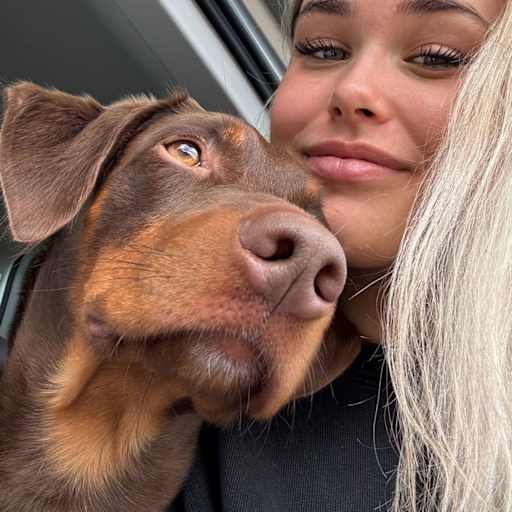 Profile image for pet sitters Jannis & Juliana