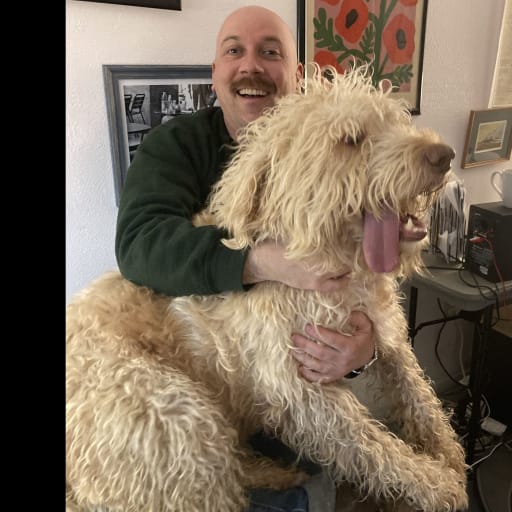 Profile image for pet sitter Theo