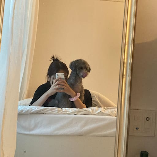 Profile image for pet sitter Gayeon seo