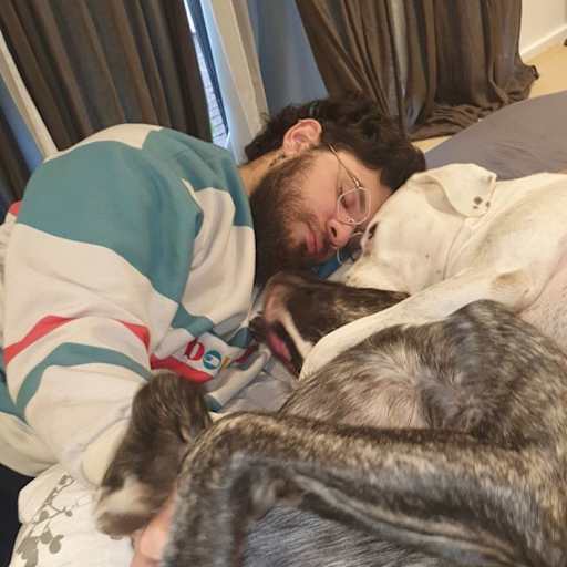 Profile image for pet sitter Juan Martin