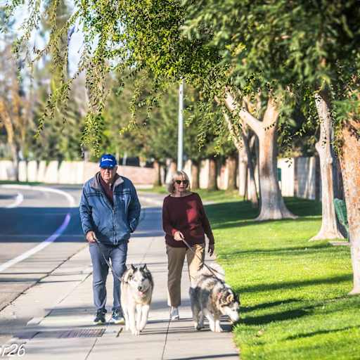 Profile image for pet sitters Carlene & Fred