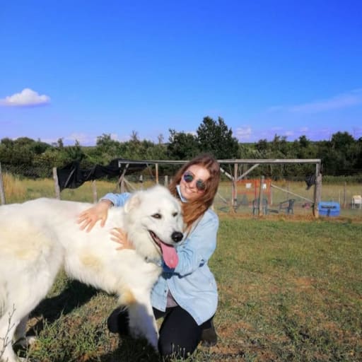 Profile image for pet sitter Beatrice