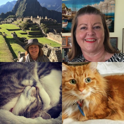 Profile image for pet sitter Joanne