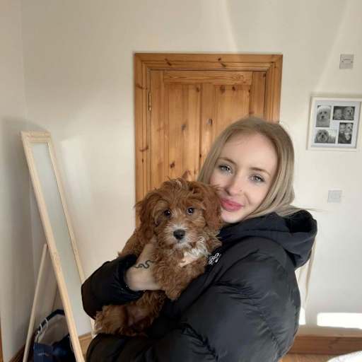 Profile image for pet sitter Kayla