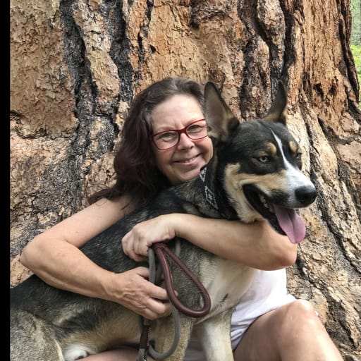 Profile image for pet sitter Frances
