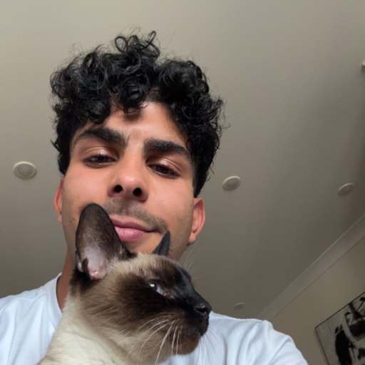 Profile image for pet sitter Abbas
