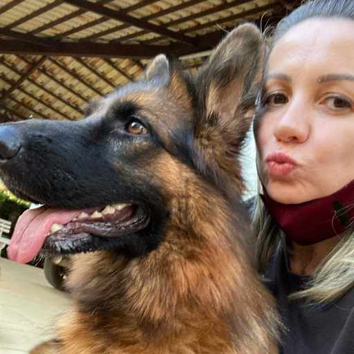 Profile image for pet sitters JULIANA & Rodrigo