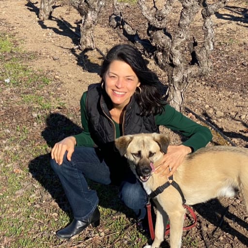 Profile image for pet sitters Sheila & Dan
