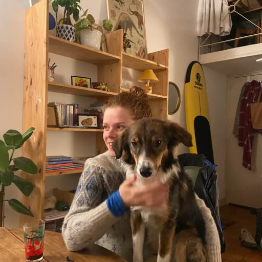 Profile image for pet sitter Margot