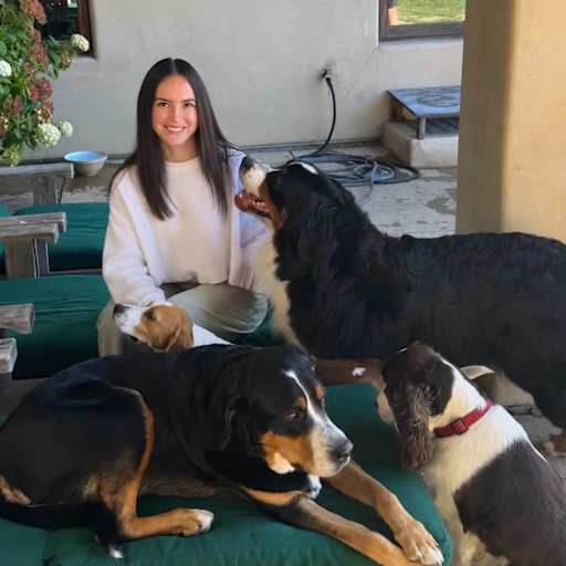 Profile image for pet sitter Alex