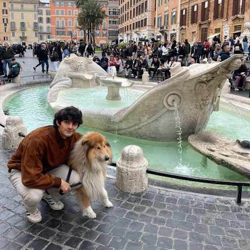 Profile image for pet sitter manfredi