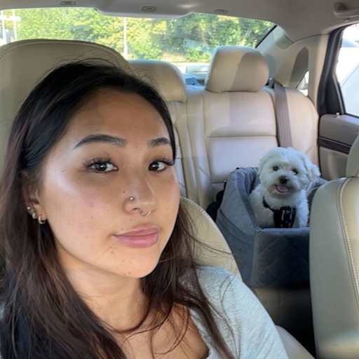 Profile image for pet sitter Sofia