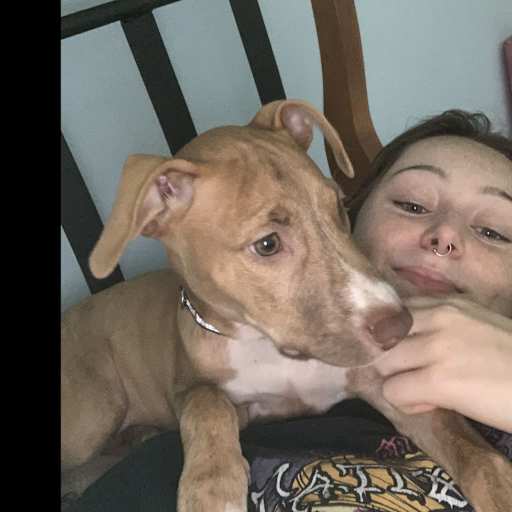 Profile image for pet sitter Ruby