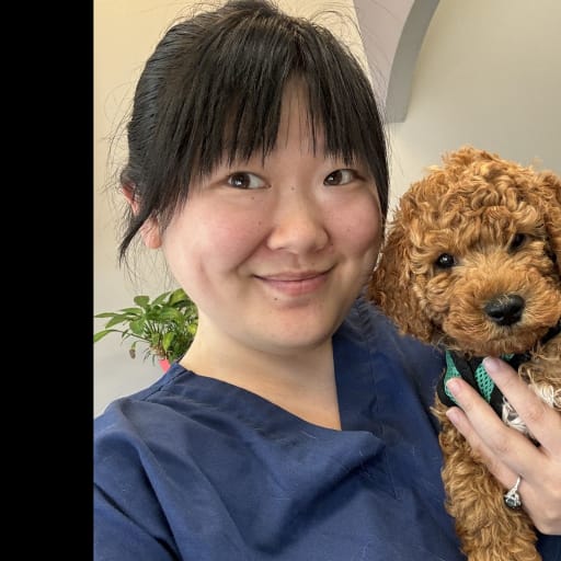Profile image for pet sitters Christina & Charles