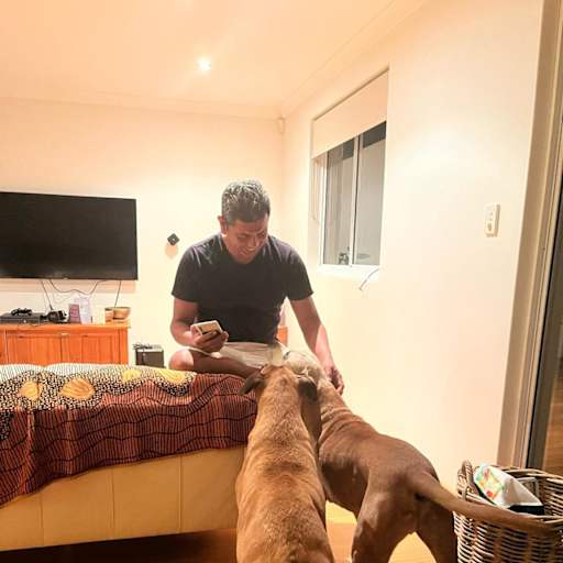 Profile image for pet sitter Macario