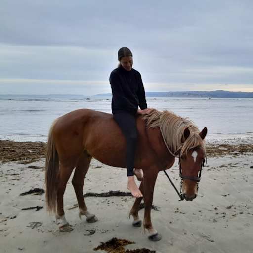 Profile image for pet sitters cecilia & Maël