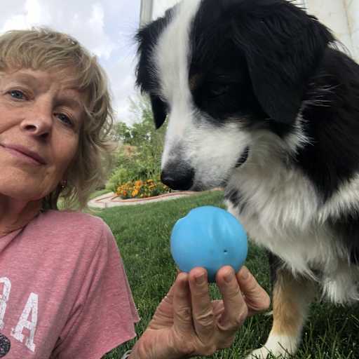 Profile image for pet sitter Renae