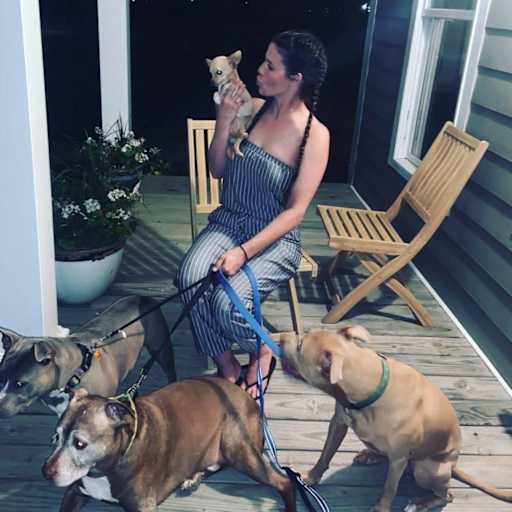 Profile image for pet sitters Stephanie & Ernest