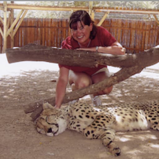 Profile image for pet sitters Sue & Jack