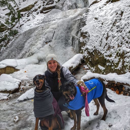 Profile image for pet sitter Alida