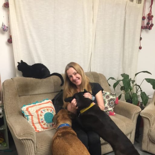 Profile image for pet sitter Lora