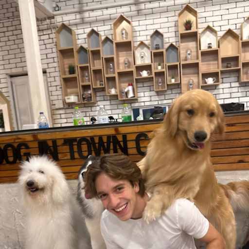 Profile image for pet sitters Filippo & Victoria