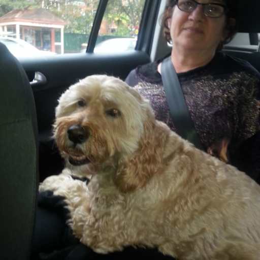 Profile image for pet sitters Jennifer & Pauline
