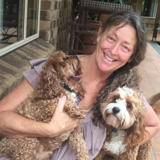 Profile image for pet sitter Donna