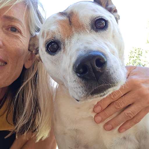 Profile image for pet sitters Nina & Randy