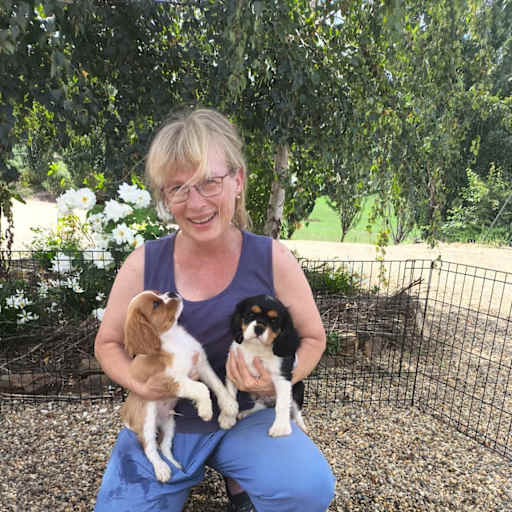 Profile image for pet sitters Debora & Denis