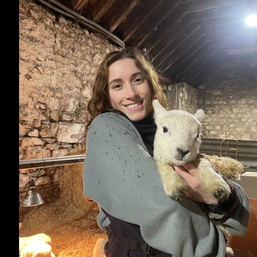 Profile image for pet sitters Amanda & Ross