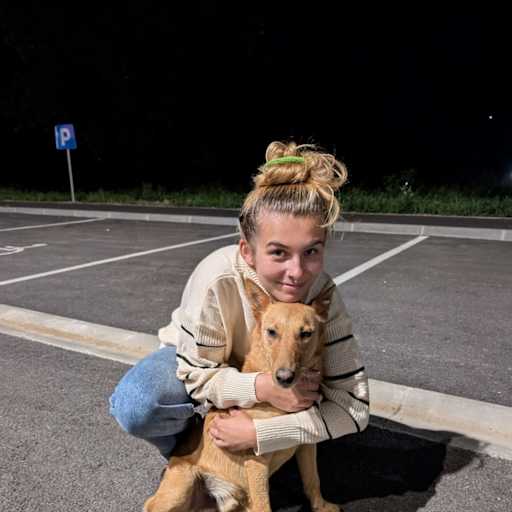 Profile image for pet sitters Michelle & Marc