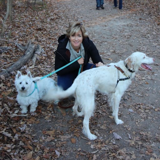 Profile image for pet sitter Trish