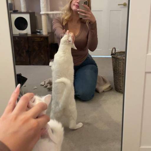 Profile image for pet sitter Hollie