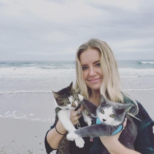 Profile image for pet sitter Kristen