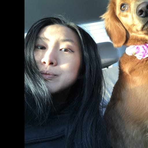 Profile image for pet sitter Yanling