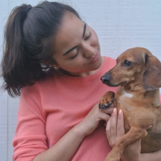 Profile image for pet sitter Shannon