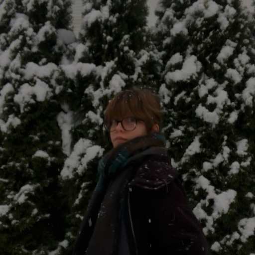 Profile image for pet sitter estefania