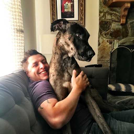 Profile image for pet sitter Kalani