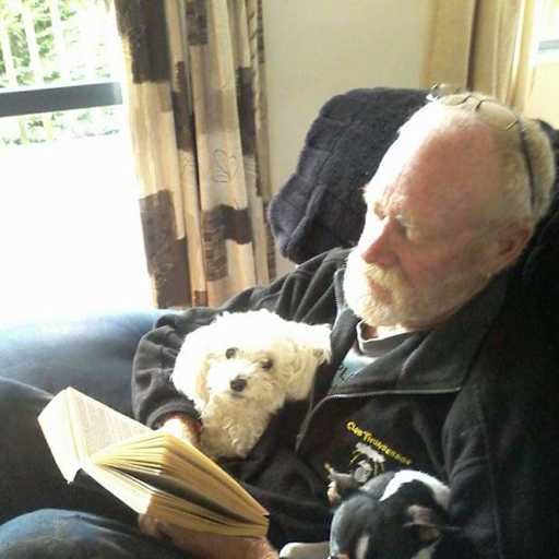 Profile image for pet sitter Ross