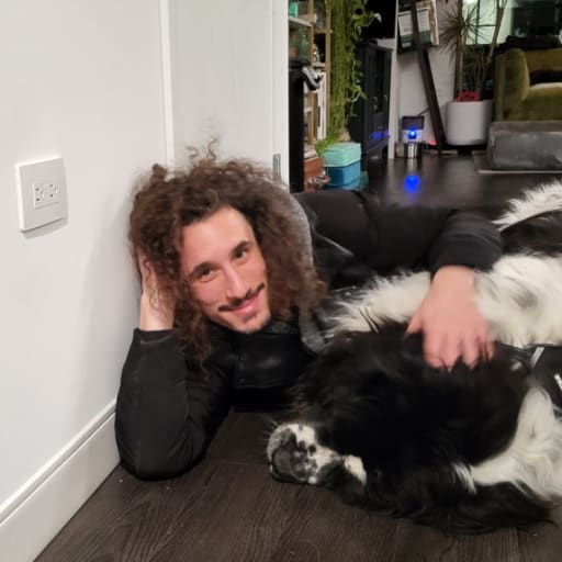Profile image for pet sitter Axios & Kai