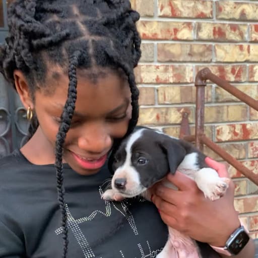 Profile image for pet sitters Mirenda & Macoy