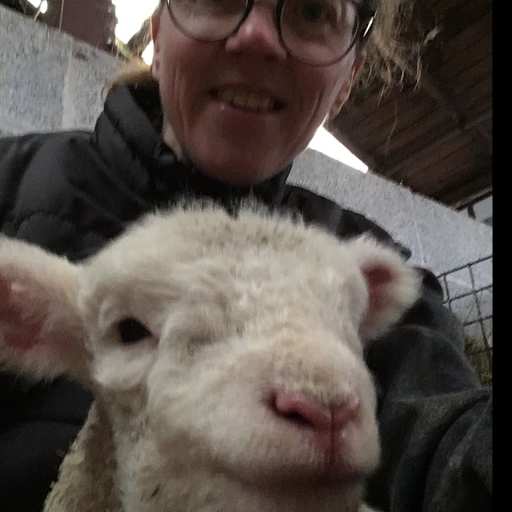 Profile image for pet sitter Gill