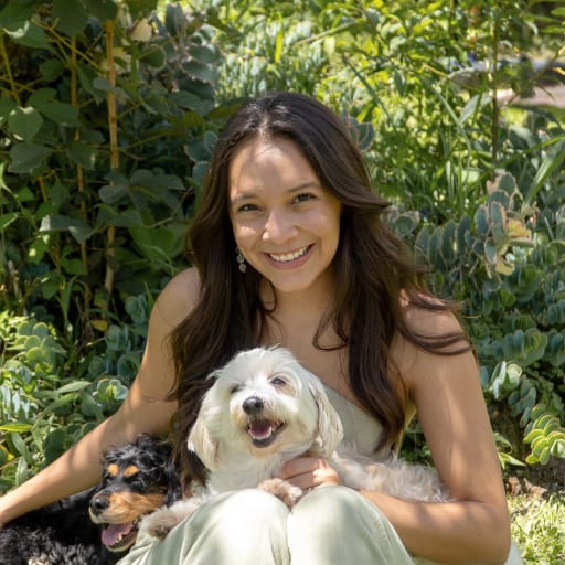 Profile image for pet sitter Karina