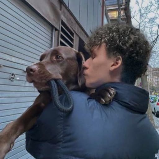 Profile image for pet sitter Youri